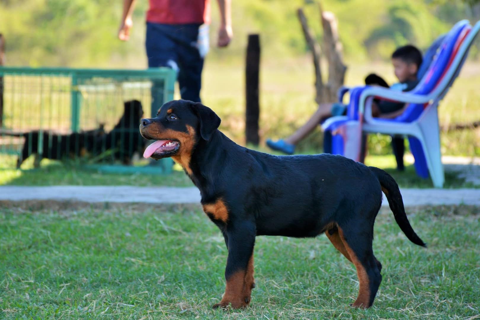 20 Principios del Criador